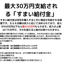 HUCK・Arieで使える補助金・税制優遇まとめ (3)_3.jpg